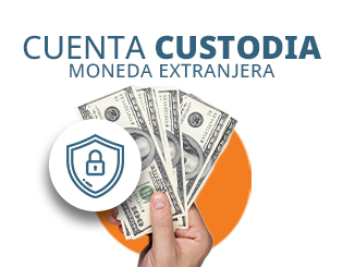 Cuenta Custodia Moneda Extranjera Caroní